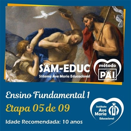 Ensino Fundamental I. Etapa 05